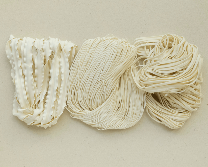 North Carolina Good Taste Noodles Corp